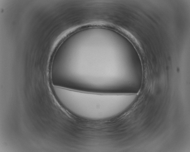 X0000083031327200702020908