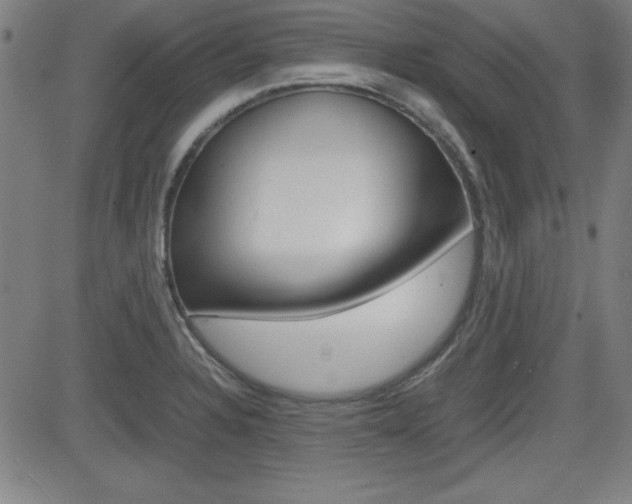 X0000083031328200702020908