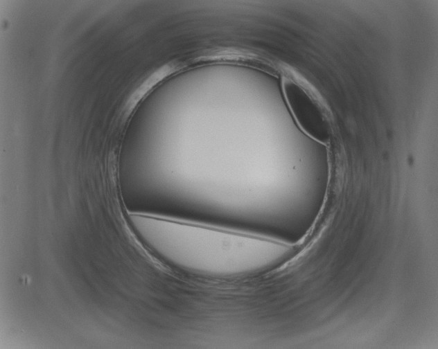 X0000083031329200702020908