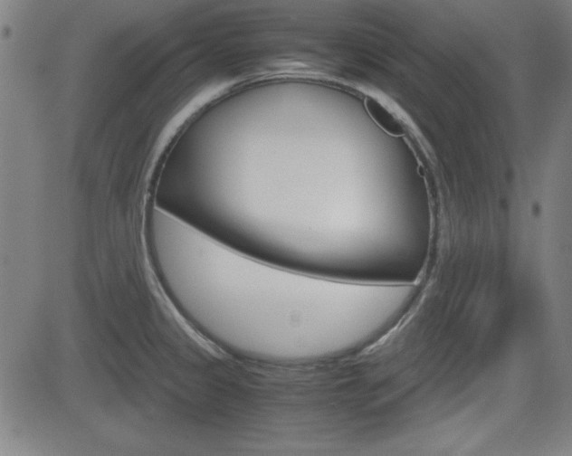 X0000083031333200702020908