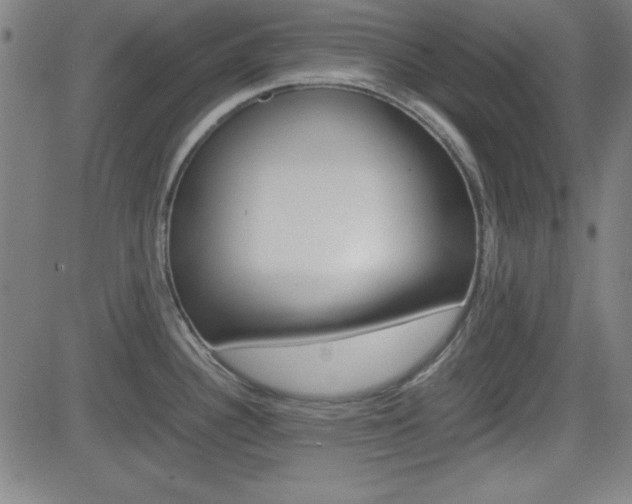 X0000083031340200702020908