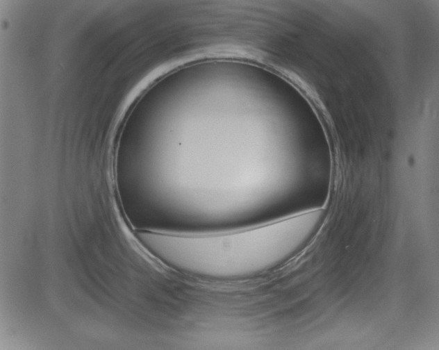 X0000083031342200702020908