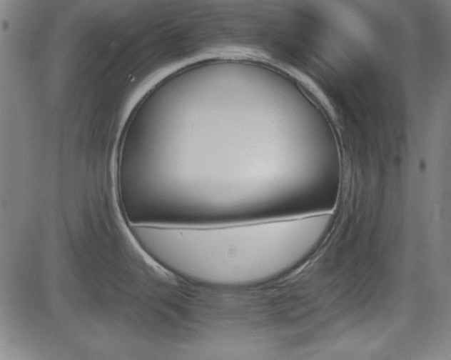 X0000083031343200702020908