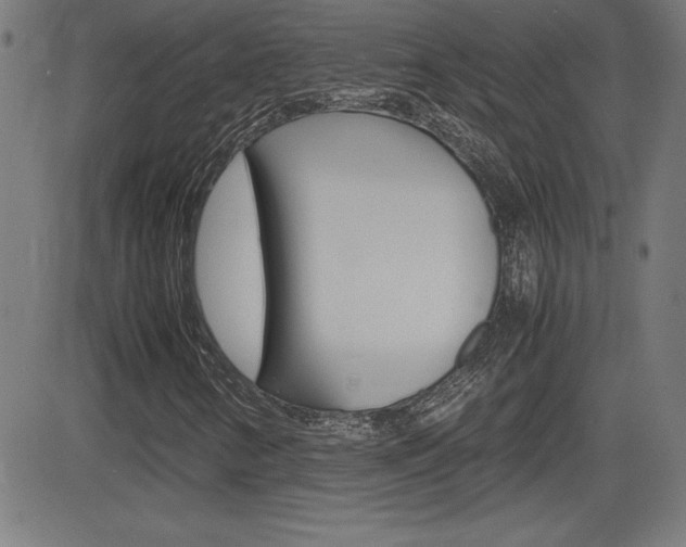 X0000083031346200702020907