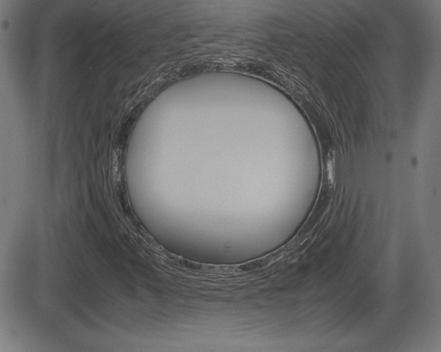 X0000083031347200702020907
