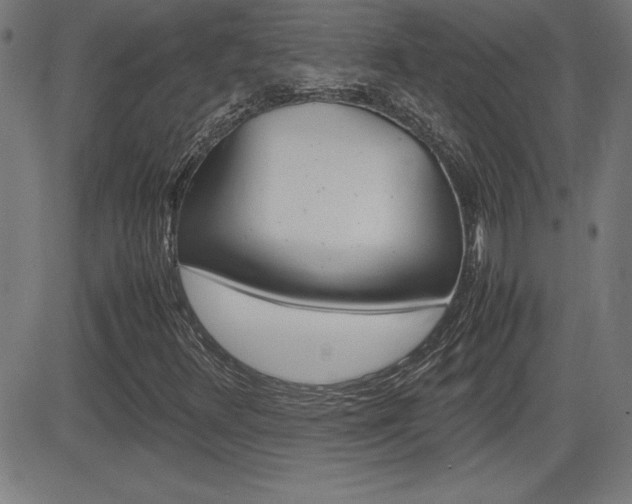 X0000083031348200702020907