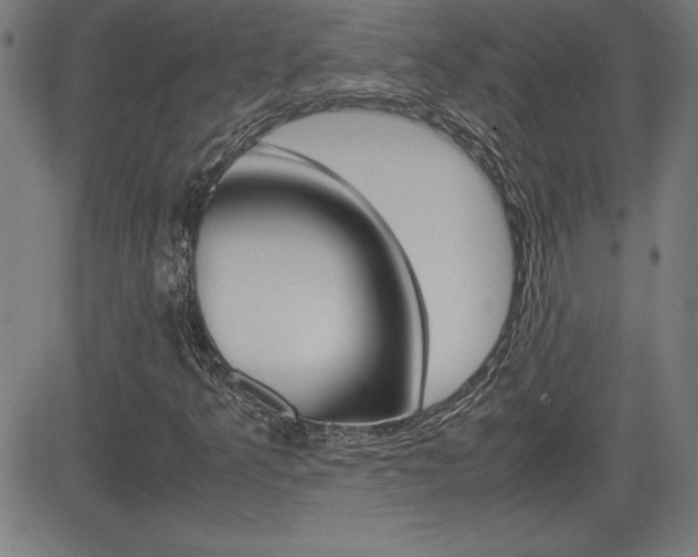 X0000083031349200702020907