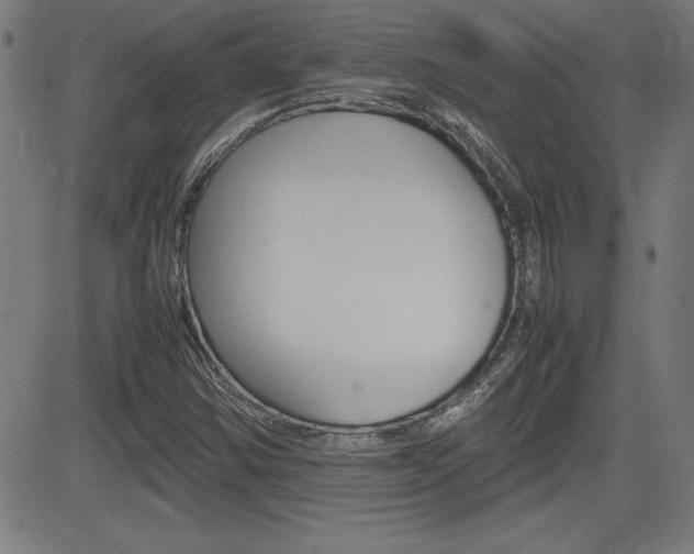 X0000083031354200702020907