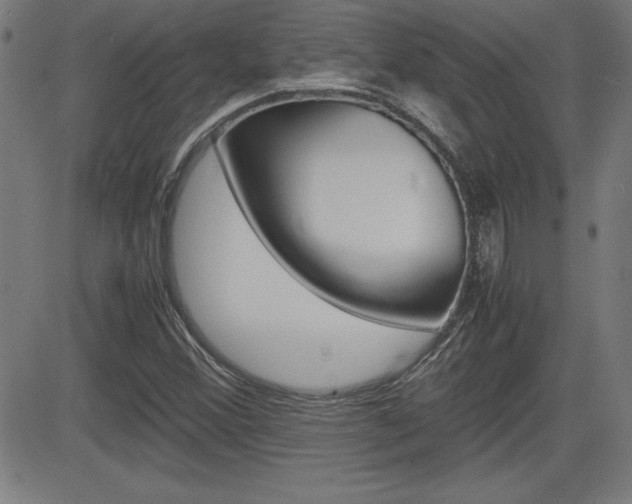 X0000083031356200702020907