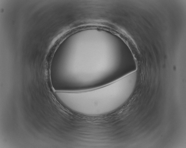 X0000083031360200702020907