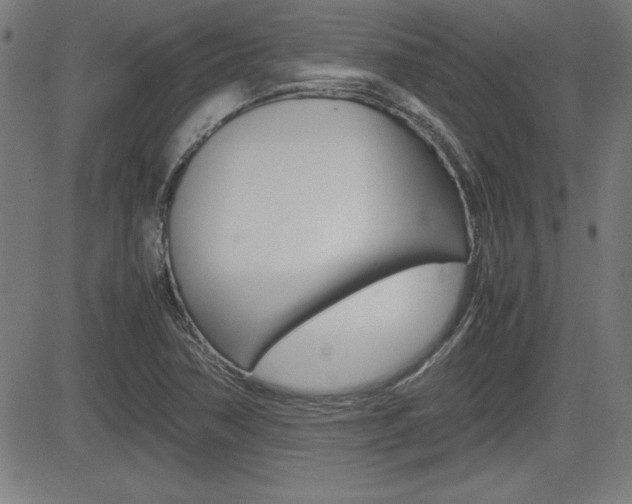 X0000083031362200702020907