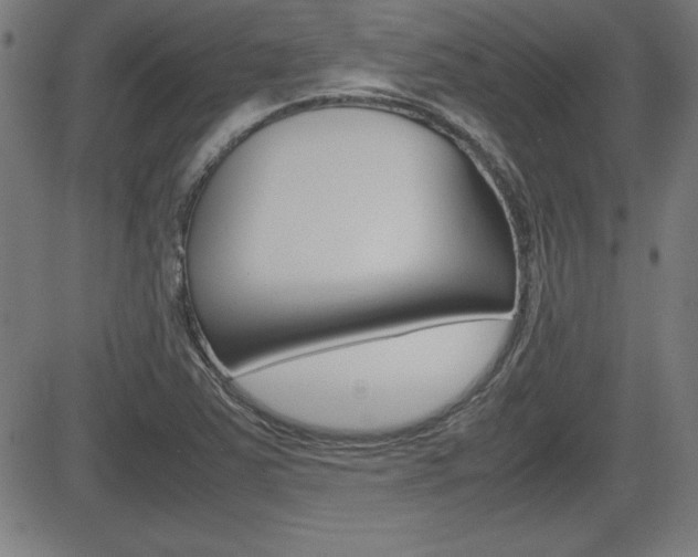 X0000083031363200702020907