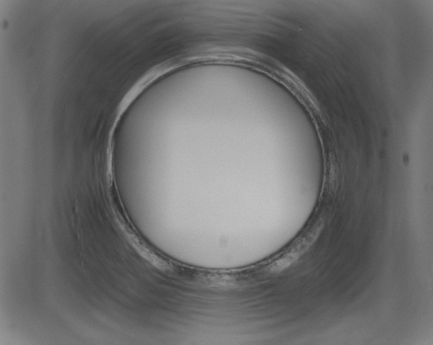 X0000083031370200702020907
