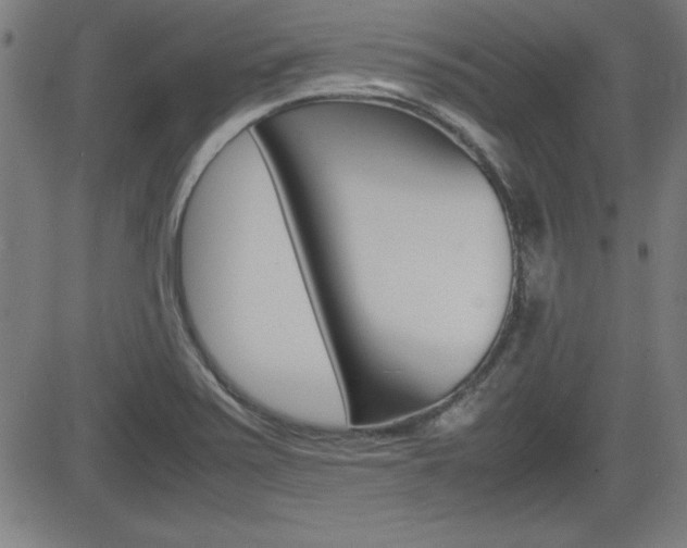 X0000083031371200702020907