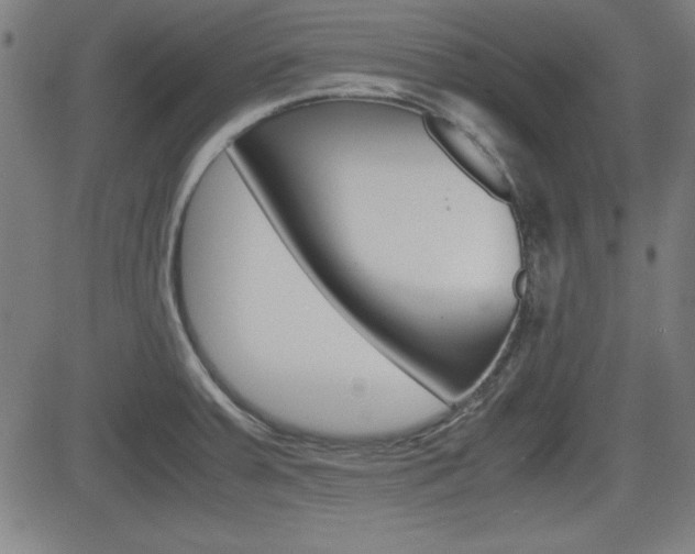 X0000083031379200702020907