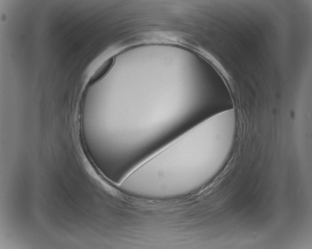X0000083031387200702020907