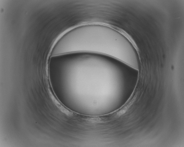 X0000083031388200702020907