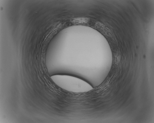 X0000083031393200702020906