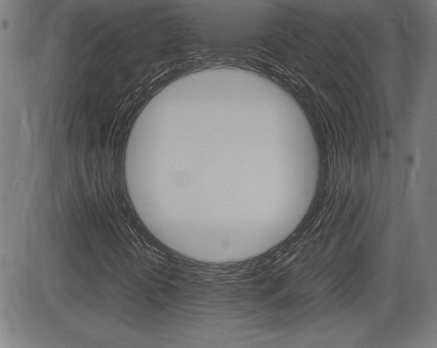 X0000083031394200702020906