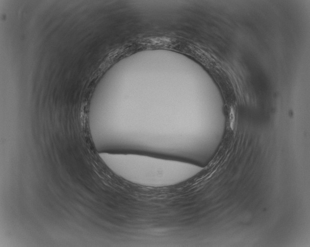 X0000083031395200702020906