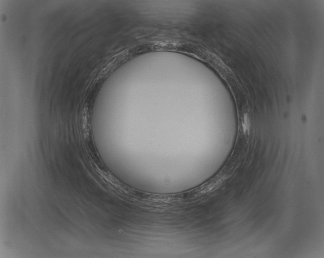 X0000083031396200702020906