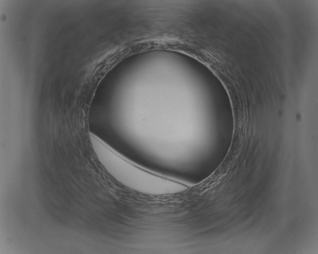 X0000083031398200702020906