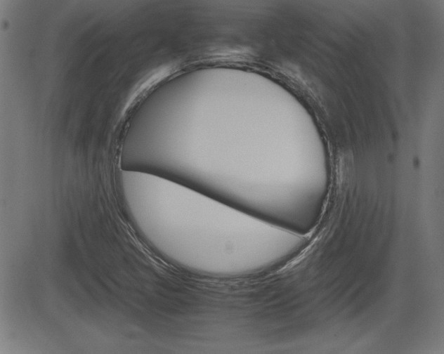 X0000083031405200702020906