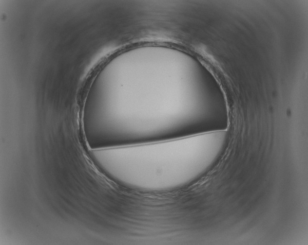 X0000083031408200702020906
