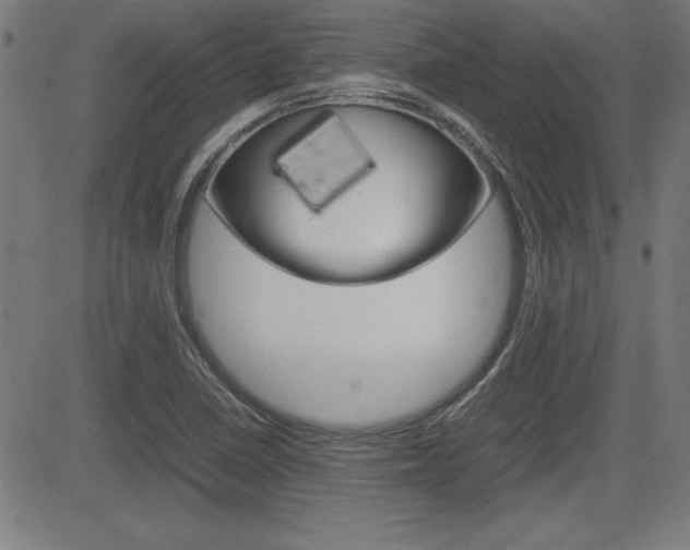 X0000083031410200702020906