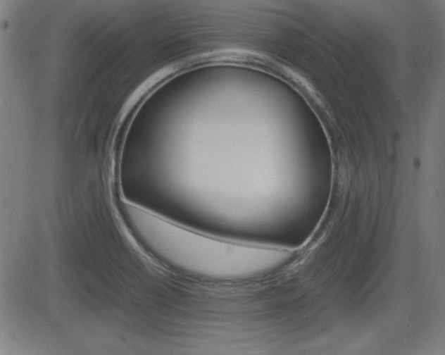 X0000083031418200702020906