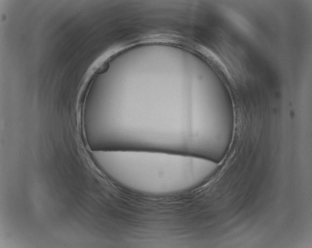 X0000083031419200702020906
