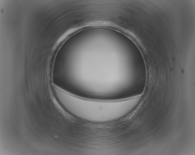X0000083031422200702020906