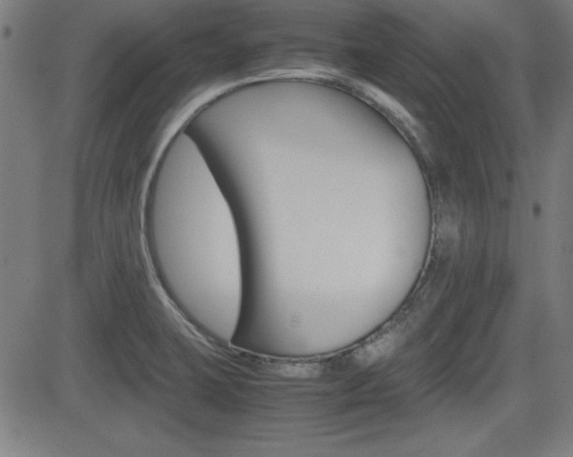 X0000083031423200702020906