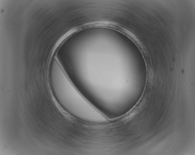 X0000083031426200702020906