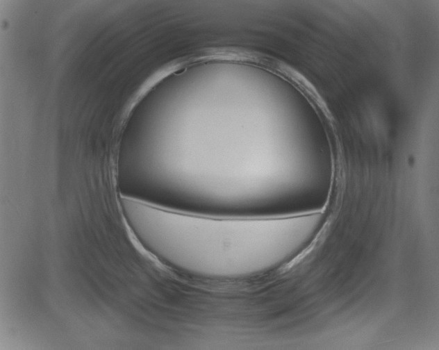 X0000083031433200702020906