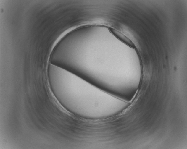 X0000083031436200702020906