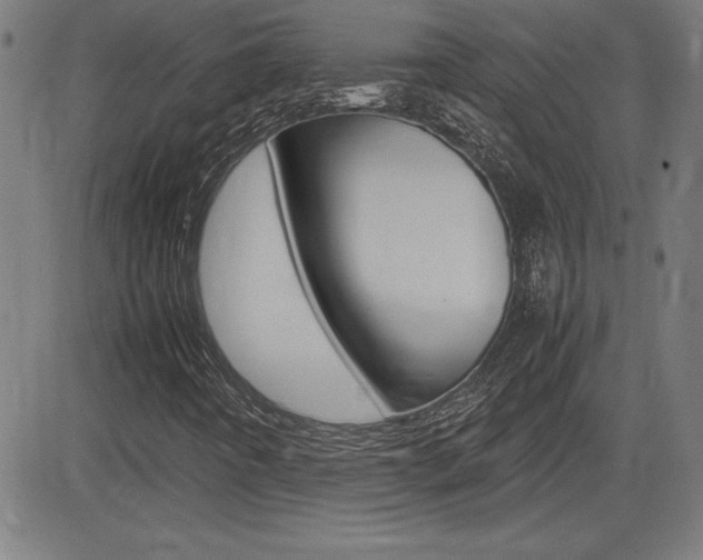 X0000083031442200702020906