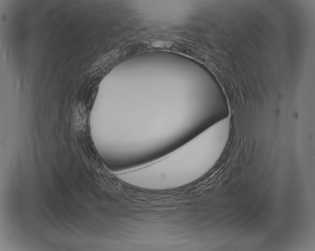 X0000083031443200702020906