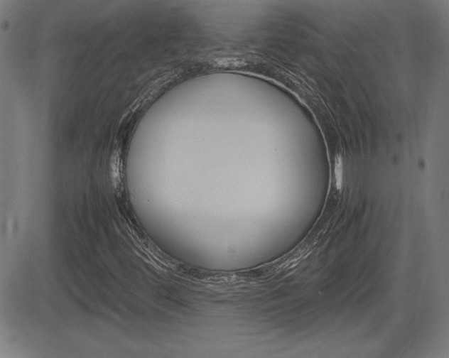 X0000083031444200702020906