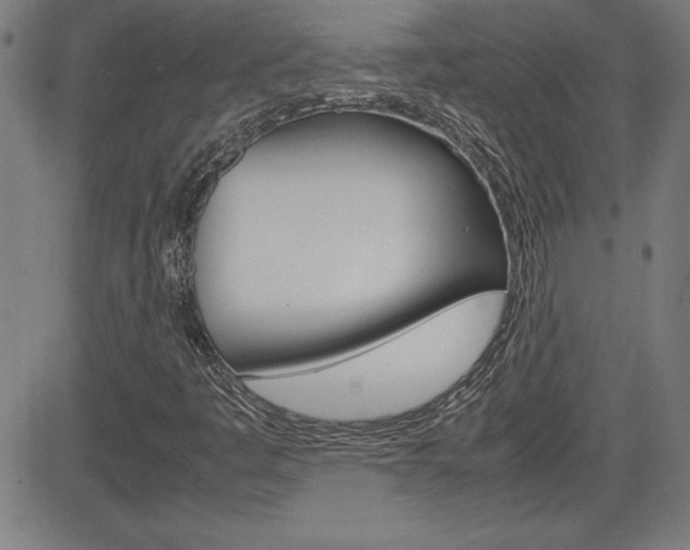 X0000083031445200702020906