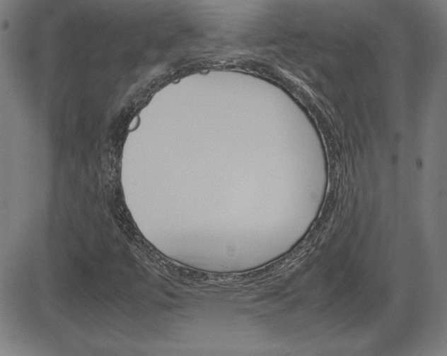 X0000083031447200702020906