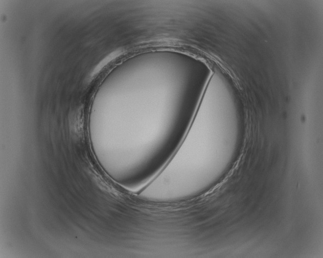 X0000083031450200702020906
