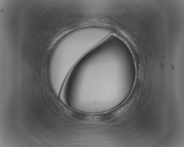 X0000083031453200702020906