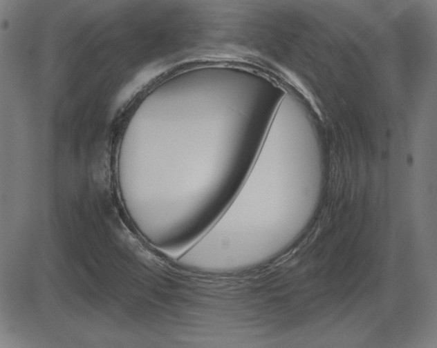 X0000083031456200702020906