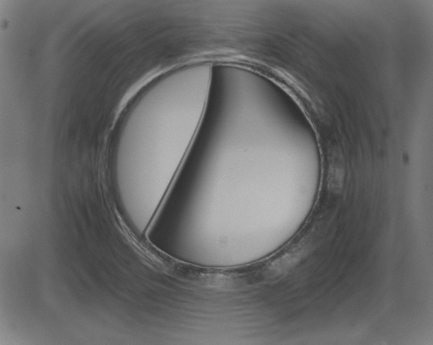 X0000083031458200702020906