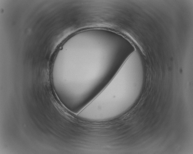 X0000083031460200702020905