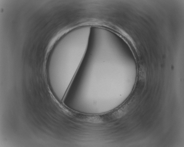 X0000083031464200702020905