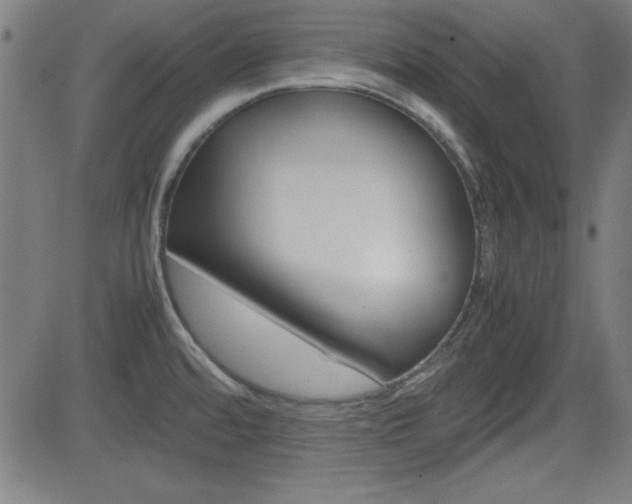 X0000083031480200702020905