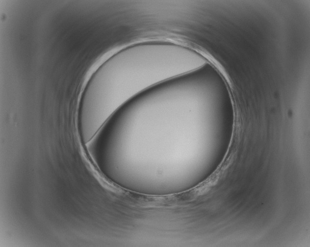 X0000083031485200702020905