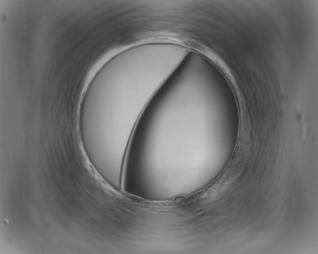 X0000083031488200702020905
